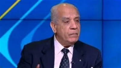 الشويمي: السيسي لديه إصرار بعودة مصر كدولة رائدة في إفريقيا (فيديو)