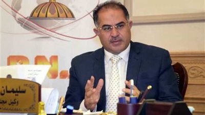 سليمان وهدان: الطاقة المتجددة في مصر ستصل لـ26 ٪ بحلول 2022 