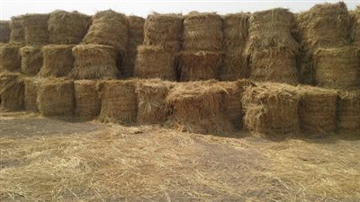 تدوير وكبس وفرم 48.298 ألف طن 