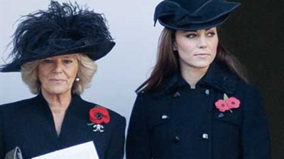 كتاب يفضح غيرة كاميلا من كيت ومحاولة تفريقها عن الأمير ويليام