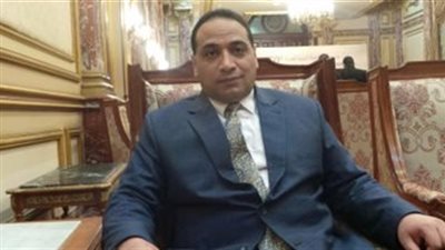 برلماني: العنف ظاهرة تهدد أمن واستقرار المجتمع