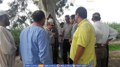 بيئة الدقهلية: تحرير 10 محاضر حرق قش أرز (صور)