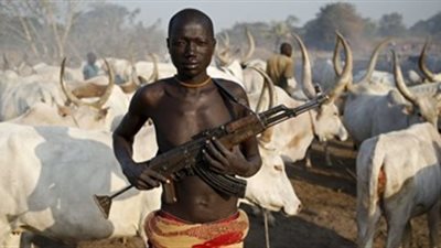 جماعة التمرد فى جنوب السودان تتهم الحكومة بانتهاك وقف إطلاق النار