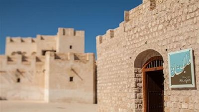 ورش وزيارات لمواقع 