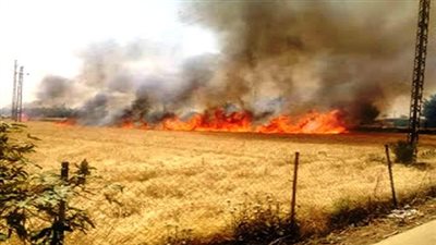 السيطرة على حريق في أرض فضاء دون إصابات بالإسكندرية