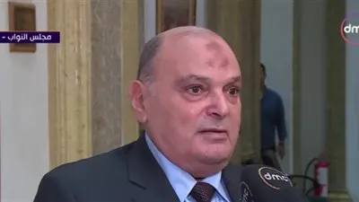 برلماني: مصر ترتبط مع إيطاليا بعلاقات ممتدة وتعاون في شتى المجالات (فيديو)