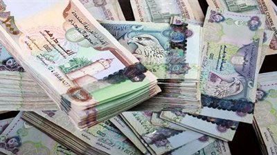 سعر الدرهم الإماراتي مقابل الجنيه المصري اليوم الأحد 16-9-2018