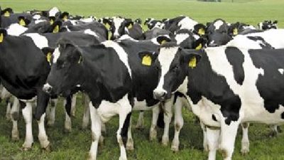 دراسة تحذر: 