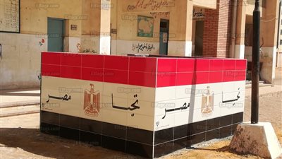 مدرسة صفية زغلول بالسويس تصميم أول منصة مدرسية لـ