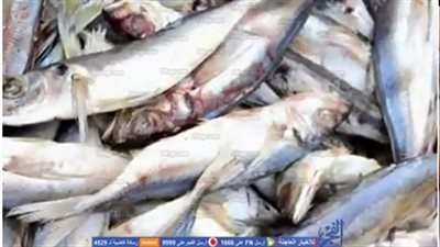 ضبط 9 قضايا مواد بترولية و235  قضية مخابز بالمحافظات