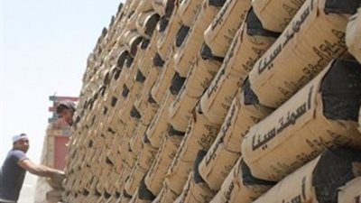 نهى بكر: صناعة الأسمنت تشمل مصر كلها وليست مركزة فى منطقة واحدة