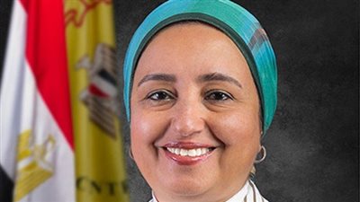 تجديد عضوية لبنى هلال نائبًا لرئيس اللجنة العليا للشمول المالى للمرأة