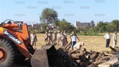 حملات تفتيشية على 106مكمورة ومصنع  بكفر الشيخ    