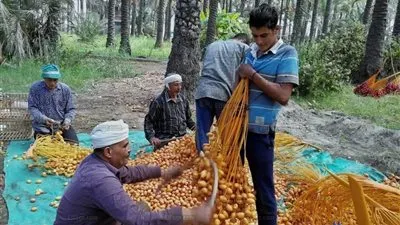 من الشروق حتى غروب الشمس.. 