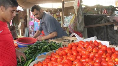 الطماطم تسجل 10 جنيهات للكيلو لليوم الثاني في أسواق الإسماعيلية
