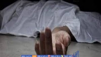 اعتدى على بنتي في شقته.. سقوط الهاربين في قضية 