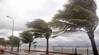 مع بدء أطول فصول السنة.. 