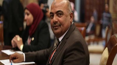عضو لجنة الصحة بالبرلمان: السيسي رجل عظيم.. 