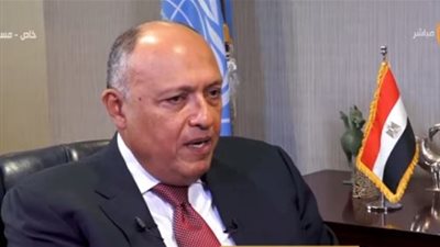 وزير الخارجية: أفريقيا ليست ممثلة بالقدر الكافي في الأمم المتحدة