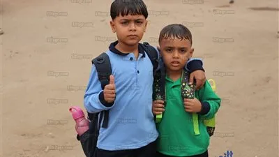 نشاط وحيوية و