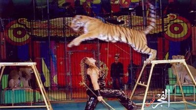 تعرف على عروض المسرح القومي بمدينة 15 مايو