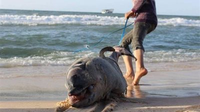 التفاصيل الكاملة للعثور على 