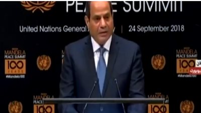 السيسي يدعو الدول الإفريقية للتعاون معًا لدحر الإرهاب 