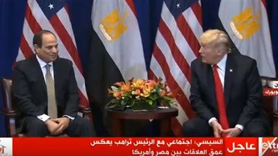 الرئيس السيسي لـ ترامب: نحن معكم في مواجهة الإرهاب (فيديو)