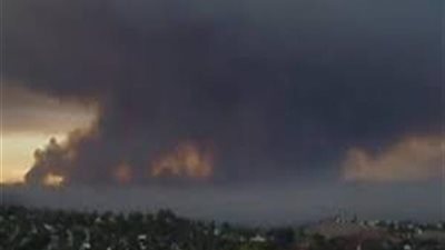 الاستفادة من تجميع قش الأرز.. كيف تواجه وزارة الزراعة ظاهرة 