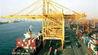 173 مليون دولار إجمالى الصادرات الغذائية للسعودية فى 7 أشهر