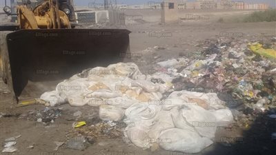 إعدام طن ونصف ملبن فاسد في المنزلة (صور)