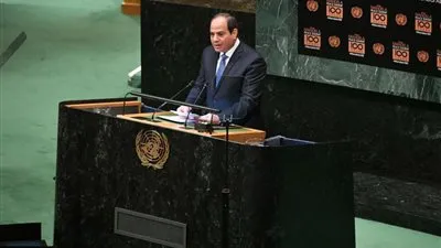 الرئيس السيسي: مصر تمتلك أساس دستوري راسخ لحماية حقوق الإنسان