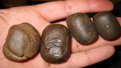 التحفظ على عاطل بحوزته 300 جرام 