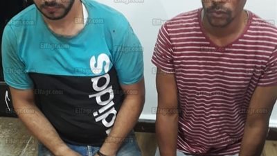 إصابة مدرسة بكدمات.. القبض على لصين أثناء سرقتهم بحدائق القبة