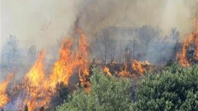 السيطرة على حريق مزرعة دواجن بالبحيرة