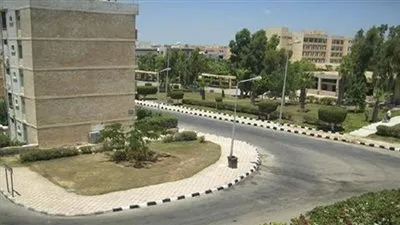 جهاز برج العرب: بدء ترخيص 200 سيارة ٧ راكب و تاكسي للنقل الداخلى 