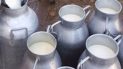 منظمة الأعراف: اللهفة هي سبب نقص الحليب‎