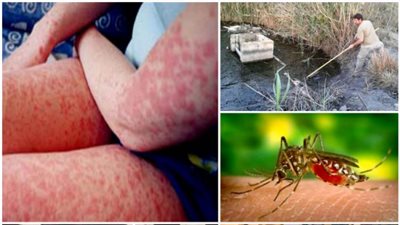 وزارة الصحة تؤكد حدوث حالة وفاة جراء 'حمى غرب النيل' و تعلن عن تعقيم مدينة مساكن والمناطق المجاورة‎