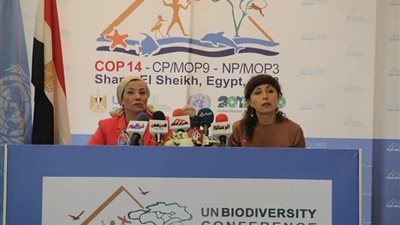 سكرتيرة اتفاقية الأطراف: 2 مليار نسمة يعانون بسبب تدهور الأراضي.. والظاهرة تتزايد