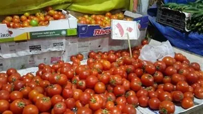 الطماطم تسجل 10 جنيهات اليوم الثلاثاء في أسواق الإسماعيلية