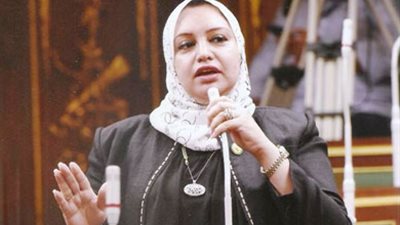 برلمانية تتقدم بطلب إحاطة حول أزمات تركيب عدادات المياه