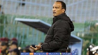 شوبير: ضياء السيد وأسامة عرابي مرشحان لتدريب إنبي