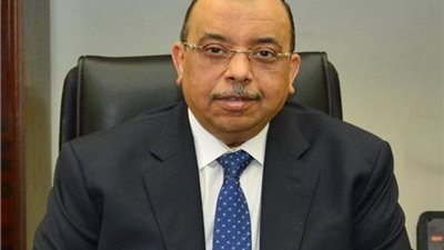 وزير التنمية المحلية يستعرض آخر تطورات المهرجان الرابع للتمور المصرية بسيوة