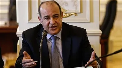 برلماني: تجربة مصر في مكافحة فيروس سي سيذكرها التاريخ الطبي باستمرار