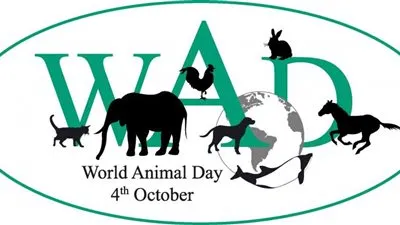 في اليوم العالمي للحيوان.. كيف تحمي أطفالك مع تربية الحيوانات داخل المنزل؟