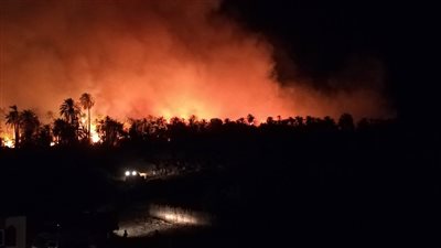 إصابة 7 أشخاص باختناق في حريق قرية الراشدة بالوادي الجديد 