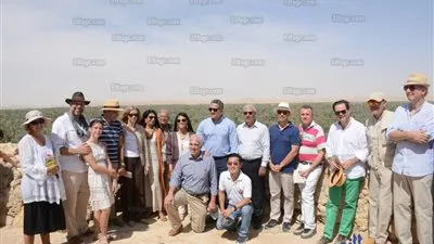 التفاصيل الكاملة لجولة 