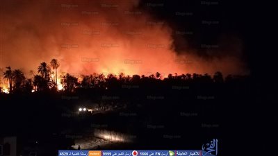 عاجل.. رئيس الوزراء يتابع تداعيات حريق الراشدة بمركز الداخلة بالوادي الجديد