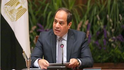 عاجل.. محافظ الوادي الجديد: الرئيس السيسي يتابع حريق قرية الراشدة