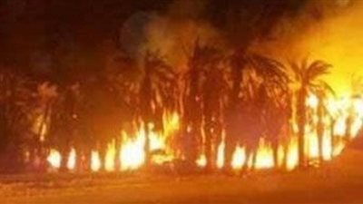 محافظ الوادي الجديد يلغي احتفالات العيد القومي بسبب حريق 